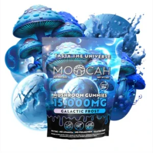 Mega Dose Mushroom Gummies - Galactic Frost